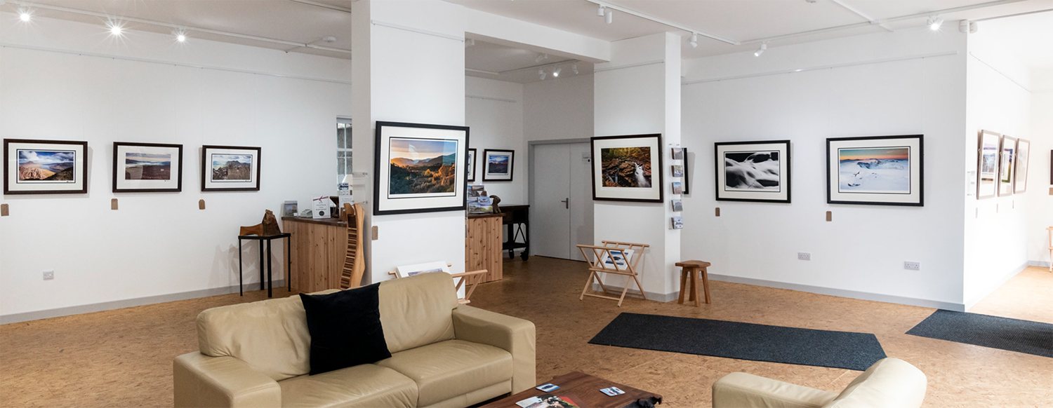 1141 Gallery